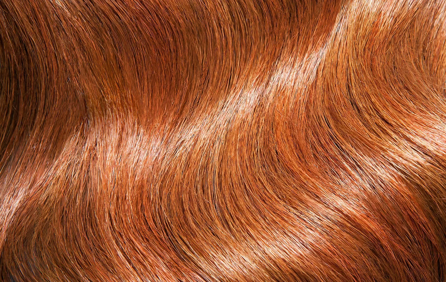 A Rosewood stylist finishing a warm copper blow wave at the Woonona salon